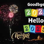 Goodbye 2024 Hello 2025 Happy New Year